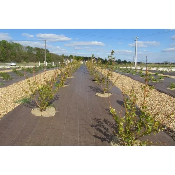 Toiles de paillage Tissé / Non Tissé et agrafes de fixation